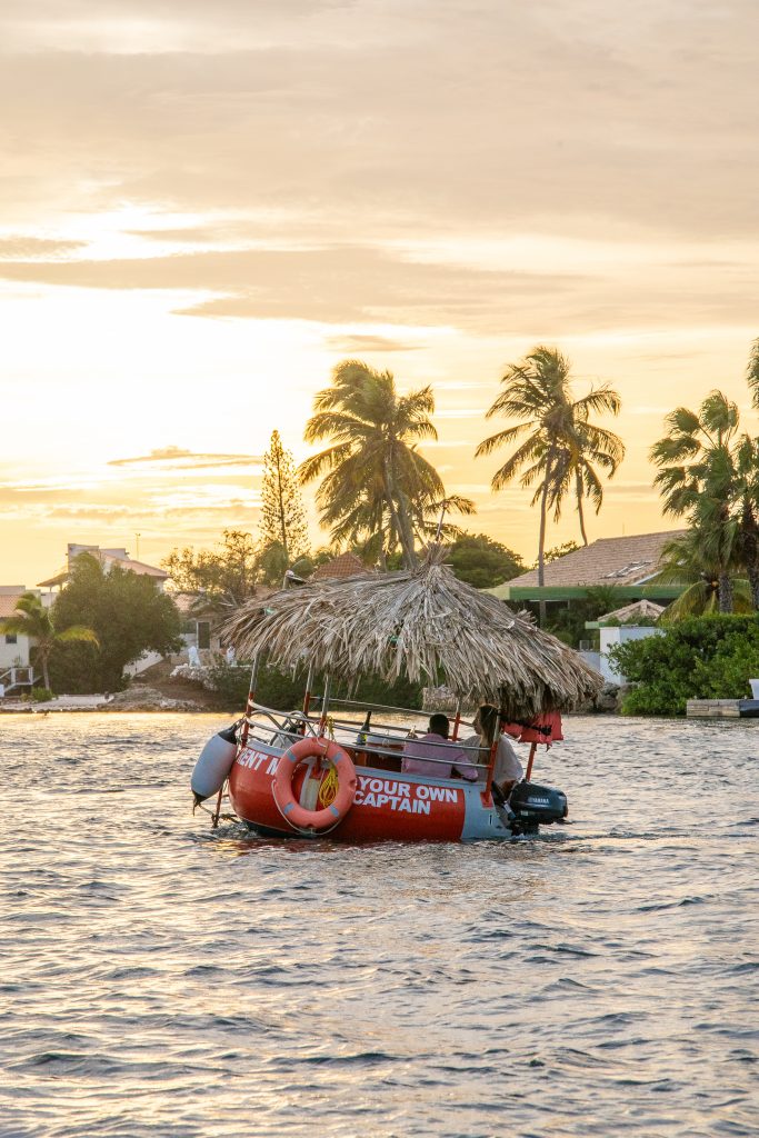 Tiki Boat