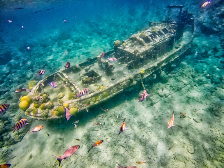 Snorkelen op Tugboat Beach